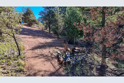 65 Utah Way, Florissant, CO 80816 - Photo 17