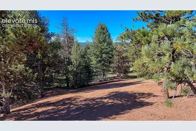 65 Utah Way, Florissant, CO 80816 - Photo 3