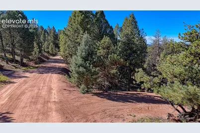 65 Utah Way, Florissant, CO 80816 - Photo 19
