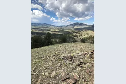 682 Nancy Ann Arroyo Na, Guffey, CO 80820 - Photo 33