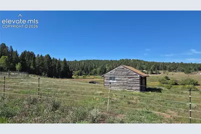 99 Uintah Ridge Road, Florissant, CO 80816 - Photo 7