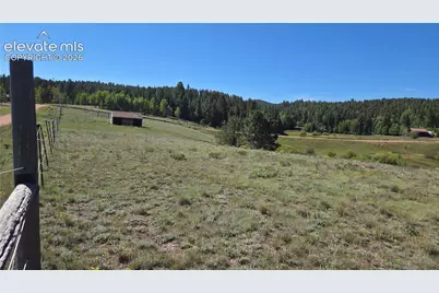 99 Uintah Ridge Road, Florissant, CO 80816 - Photo 9