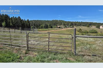99 Uintah Ridge Road, Florissant, CO 80816 - Photo 11