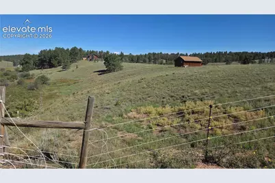 99 Uintah Ridge Road, Florissant, CO 80816 - Photo 5