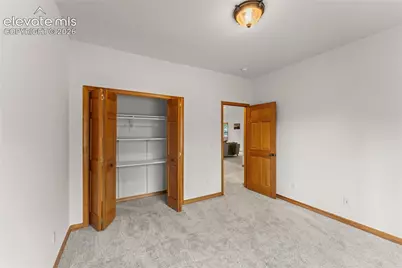 113 Flagstick Drive, Woodland Park, CO 80863 - Photo 21
