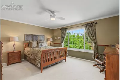 4510 Eileen Court, Colorado Springs, CO 80919 - Photo 23
