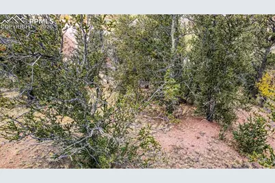 65 Portland Drive, Cripple Creek, CO 80813 - Photo 11