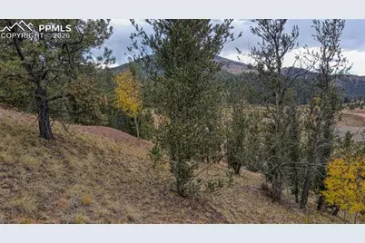 65 Portland Drive, Cripple Creek, CO 80813 - Photo 5
