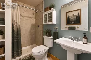 481 Black Bear Trail, Woodland Park, CO 80863 - Photo 15