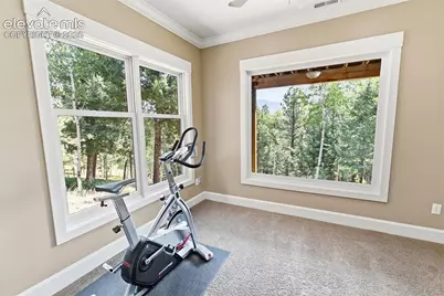 521 Woodrock Way, Divide, CO 80814 - Photo 31