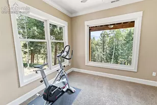 521 Woodrock Way, Divide, CO 80814 - Photo 31