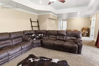 521 Woodrock Way, Divide, CO 80814 - Photo 29