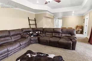 521 Woodrock Way, Divide, CO 80814 - Photo 29