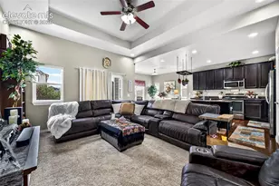 7887 Lightwood Way, Colorado Springs, CO 80908 - Photo 3
