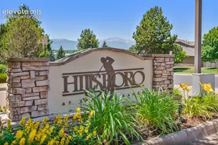 3831 Riviera Grove, Colorado Springs, CO 80922 - Photo 29