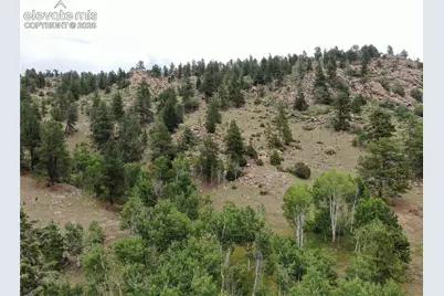 76 Crocus Circle, Florissant, CO 80816 - Photo 1