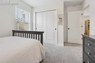 6382 Barr Pt, Colorado Springs, CO 80924 - Photo 27