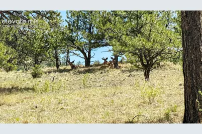 11105 County Road 102, Guffey, CO 80820 - Photo 31