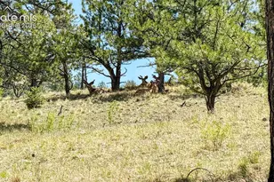 11105 Co Rd 102, Guffey, CO 80820 - Photo 31