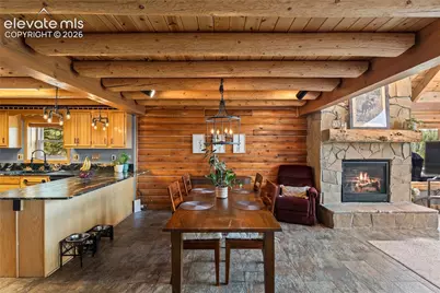 102 Douglas Fir Lane, Woodland Park, CO 80863 - Photo 9