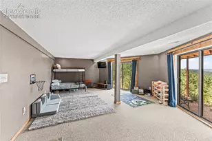 102 Douglas Fir Ln, Woodland Park, CO 80863 - Photo 31
