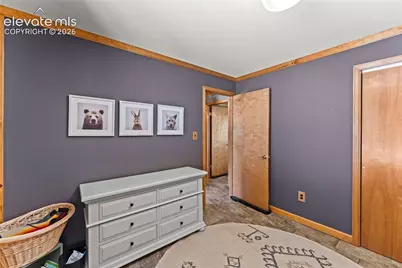102 Douglas Fir Lane, Woodland Park, CO 80863 - Photo 25