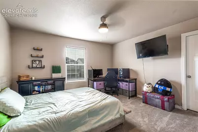 9652 Emerald Vista Drive, Peyton, CO 80831 - Photo 33