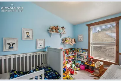 1888 Lakeview Drive, Lake George, CO 80827 - Photo 29