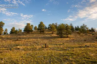 1888 Lakeview Dr, Lake George, CO 80827 - Photo 7