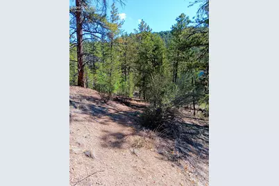 Tr-21 43rd Trail, Cotopaxi, CO 81223 - Photo 3