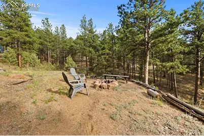 1110 Pikes Peak Drive, Florissant, CO 80816 - Photo 29