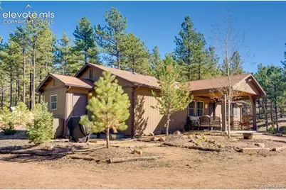 1110 Pikes Peak Drive, Florissant, CO 80816 - Photo 1