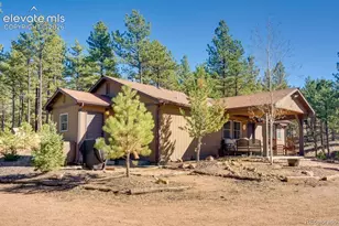 1110 Pikes Peak Dr, Florissant, CO 80816 - Photo 1