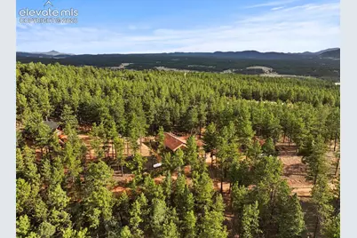 1110 Pikes Peak Drive, Florissant, CO 80816 - Photo 41
