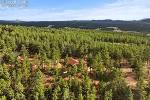1110 Pikes Peak Dr, Florissant, CO 80816 - Photo 41