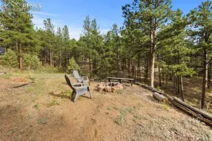 1110 Pikes Peak Dr, Florissant, CO 80816 - Photo 29