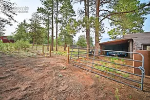 1869 Co Rd 21, Woodland Park, CO 80863 - Photo 25