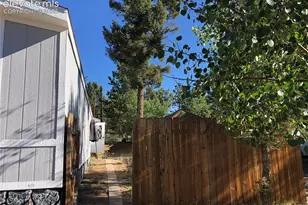 169 Daisy St, Woodland Park, CO 80863 - Photo 17