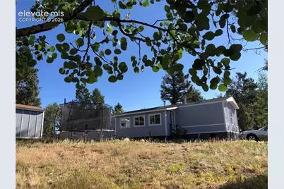 169 Daisy Street, Woodland Park, CO 80863 - Photo 19