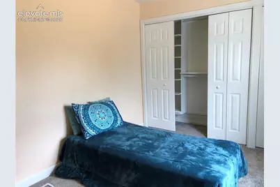 169 Daisy Street, Woodland Park, CO 80863 - Photo 13