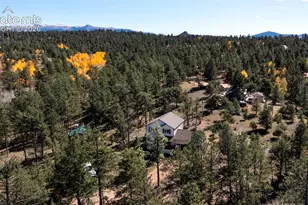 258 Turnabout Ln, Florissant, CO 80816 - Photo 39