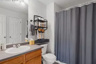 74 Vale Cir, Palmer Lake, CO 80133 - Photo 19