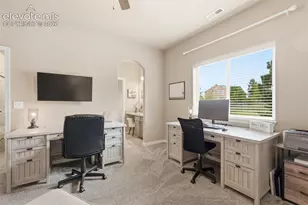 233 Coyote Willow Dr, Colorado Springs, CO 80921 - Photo 29