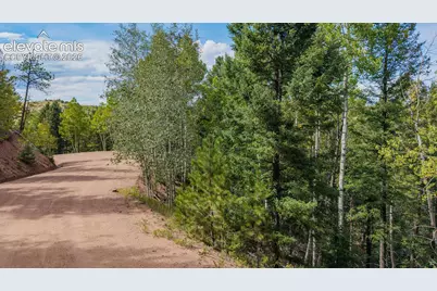 1034 Little Topsey Drive, Cripple Creek, CO 80813 - Photo 19