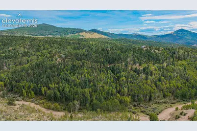 1034 Little Topsey Drive, Cripple Creek, CO 80813 - Photo 11