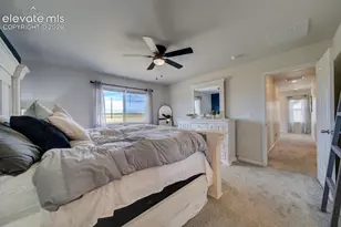 8262 Buffalo Horn Dr, Colorado Springs, CO 80925 - Photo 19