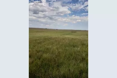 8155 Cowboy Ranch View, Falcon, CO 80831 - Photo 7