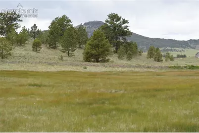344 Valley Road, Guffey, CO 80820 - Photo 5