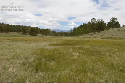 344 Valley Road, Guffey, CO 80820 - Photo 15