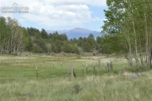 344 Valley Rd, Guffey, CO 80820 - Photo 1